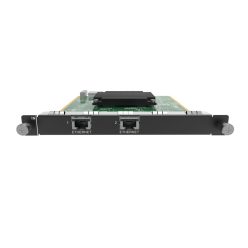 H_2xRJ45 IP input card