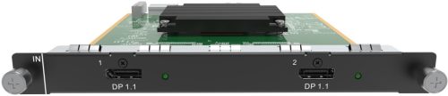 H_2xDP1.1 input card